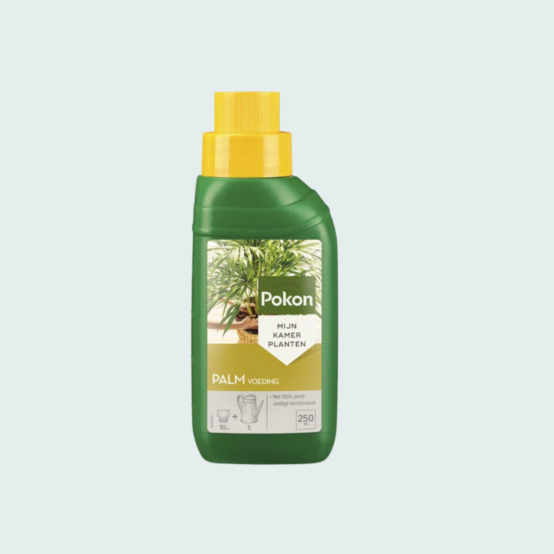 Pokon Palmen Plant Voeding - 250ML
