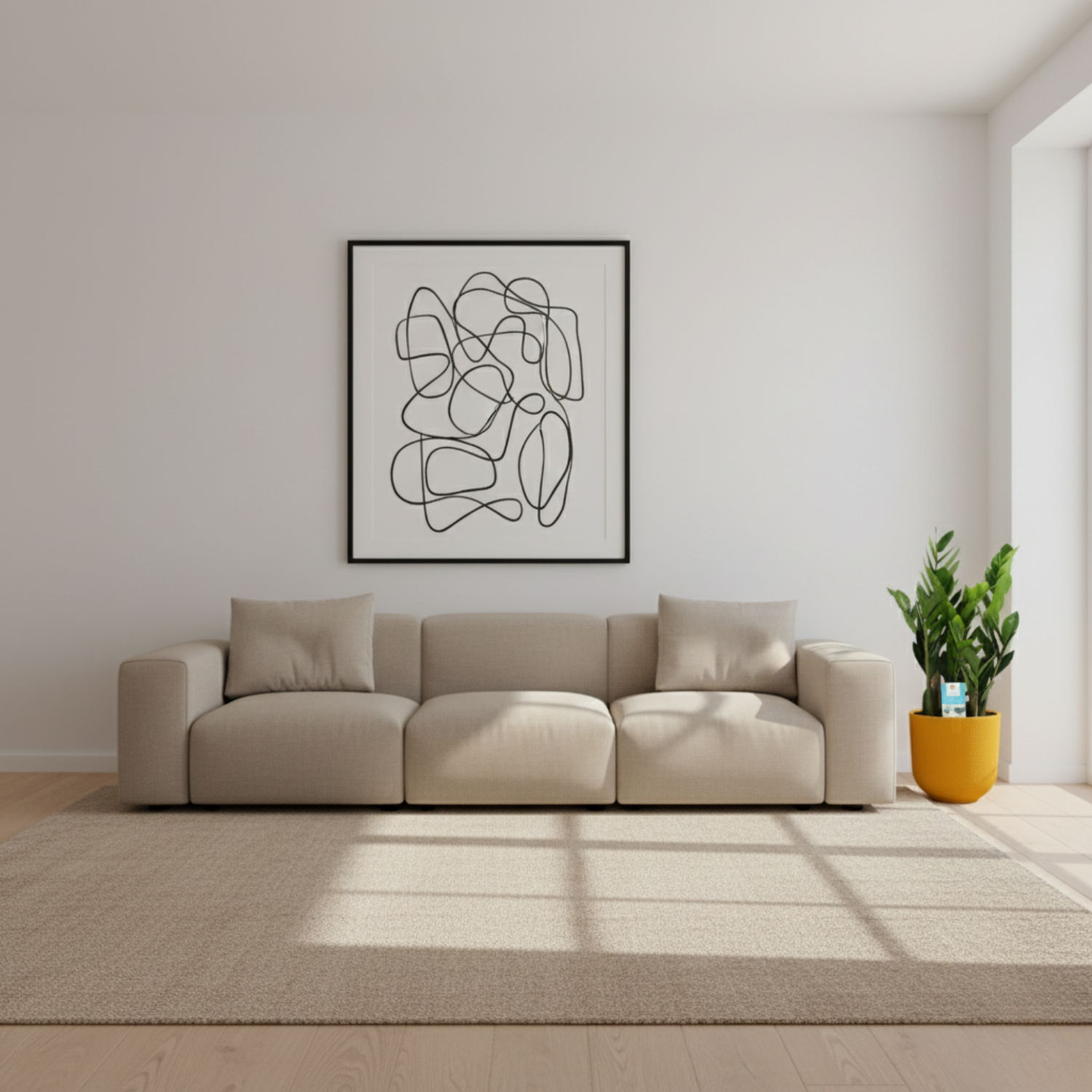 Zamioculcas Zamiifolia kopen