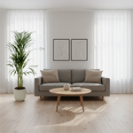 Areca palm kopen