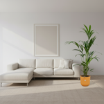 Kentia palm