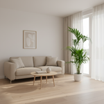 Kentia palm kopen