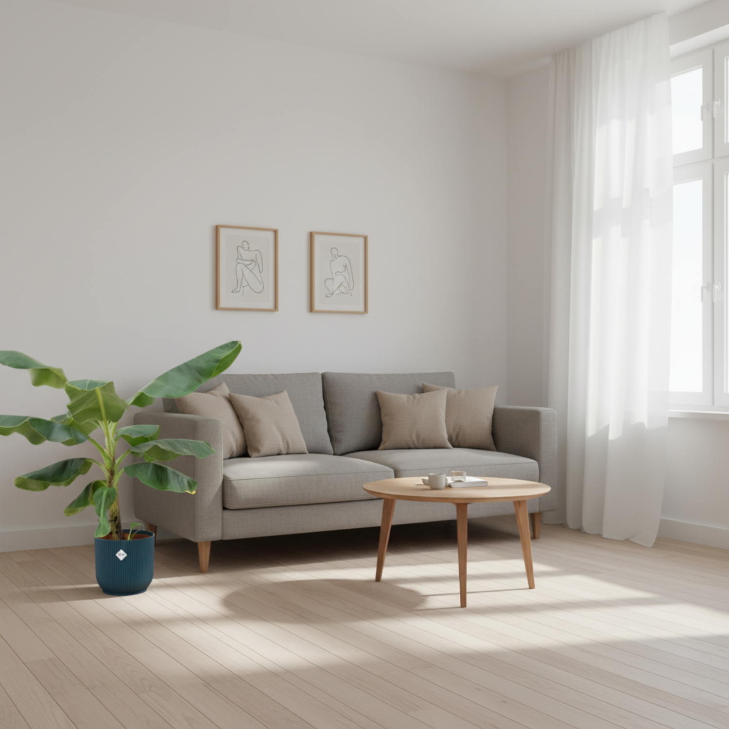 Bananenplant (Musa) Kopen