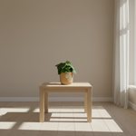  Philodendron Scandens kopen