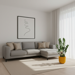Zamioculcas Zamiifolia kopen