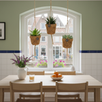 Kokopot String Succulent kopen