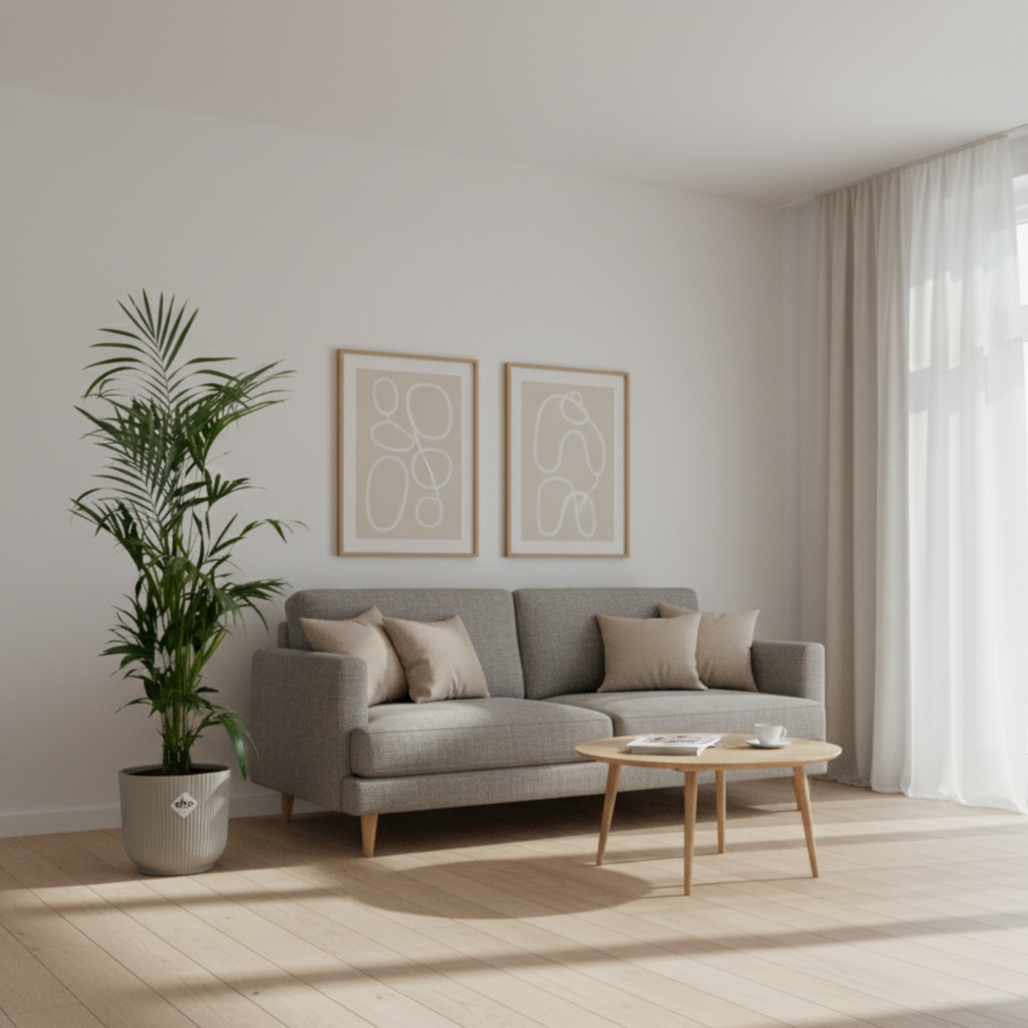 Kentia Palm