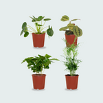 4 Diervriendelijke Plantenbox 
