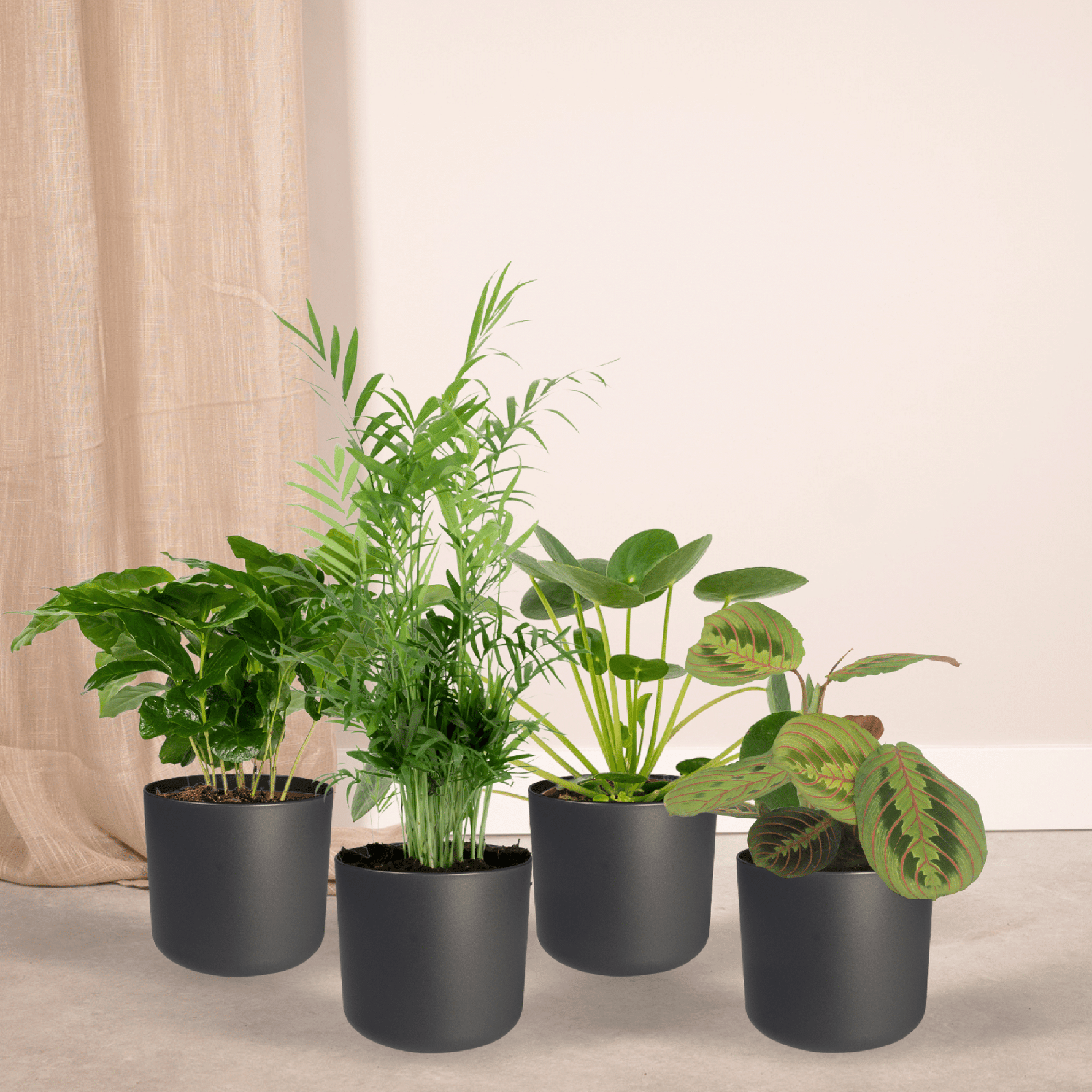 4 Diervriendelijke Plantenbox 