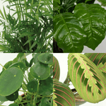 4 Diervriendelijke Plantenbox 