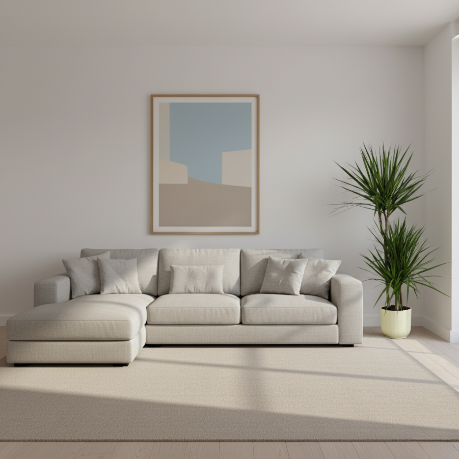 Dracaena Marginata kopen