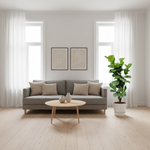 Ficus Lyrata