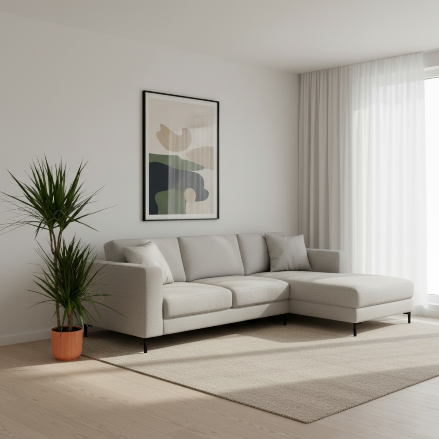 Dracaena Marginata kopen