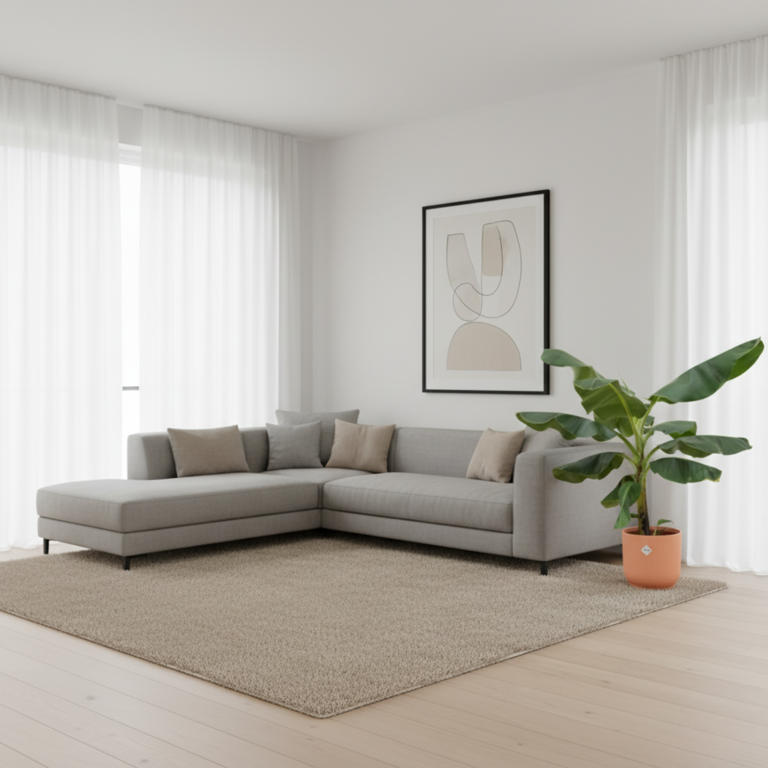 Bananenplant (Musa) Kopen