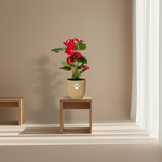 Anthurium Red kopen