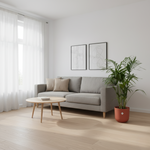 Kentia palm kopen