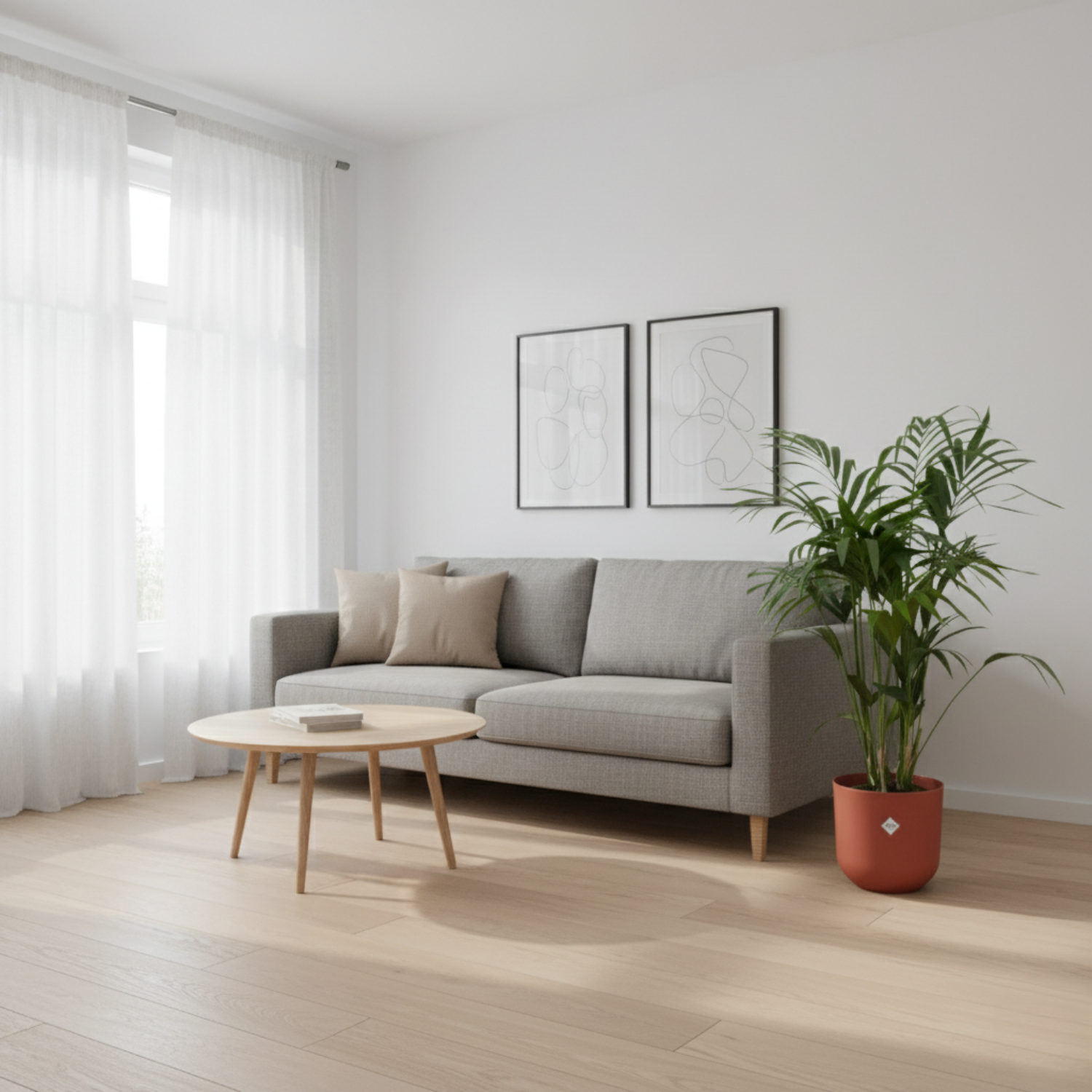 Kentia palm kopen