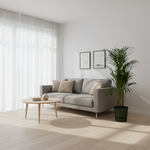 Areca palm 