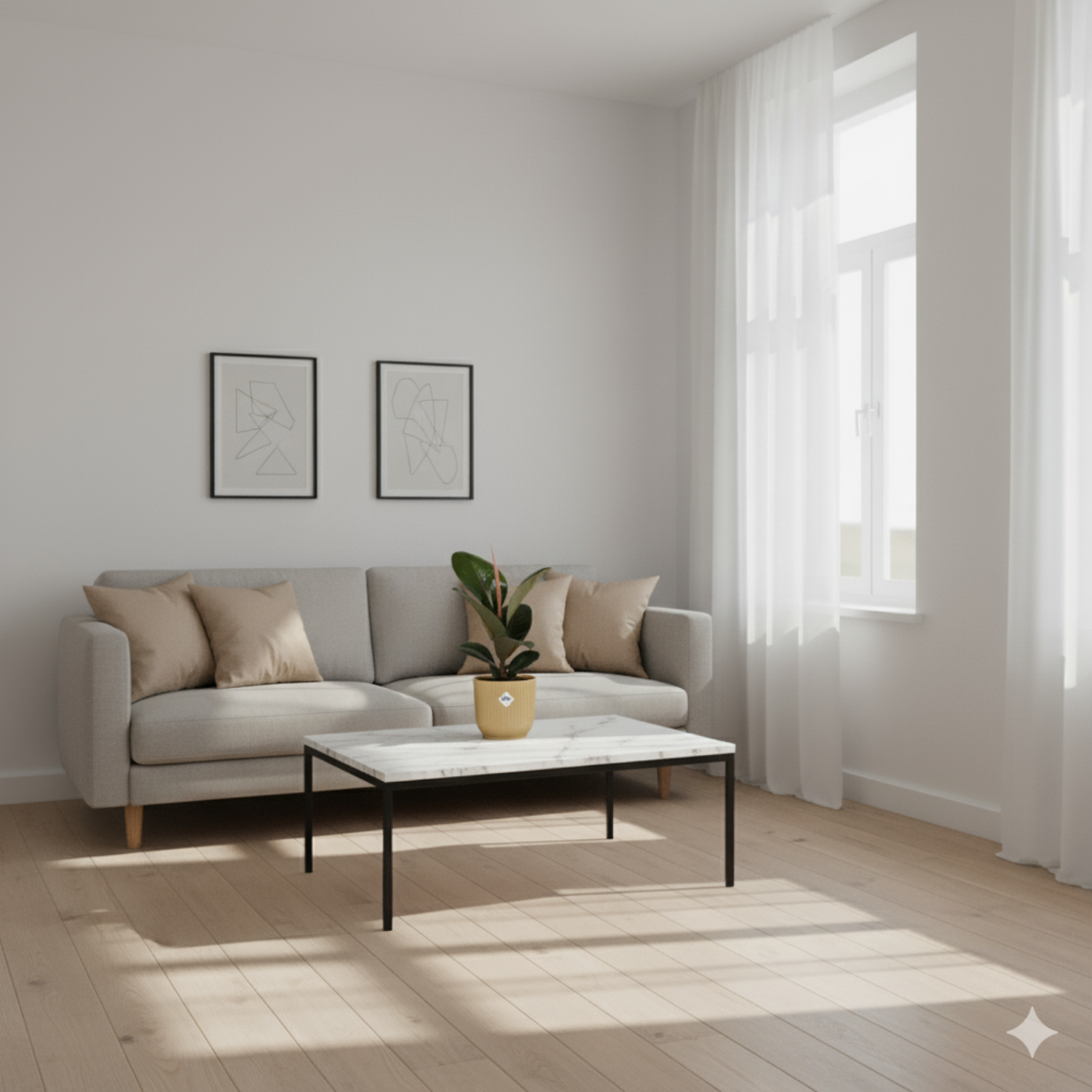 Ficus Elastica kopen