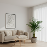 Areca Palm