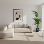 Kentia palm kopen