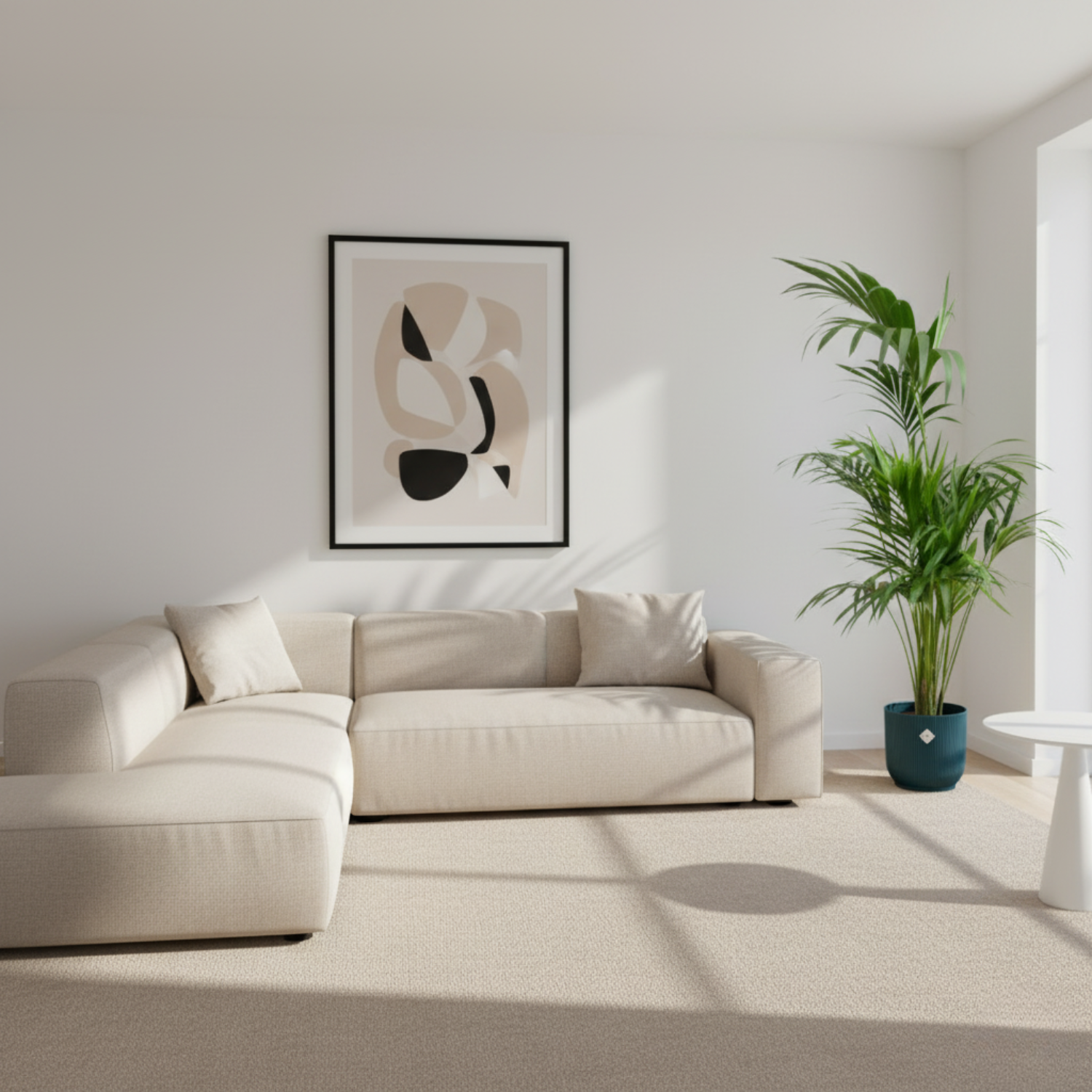 Kentia palm kopen