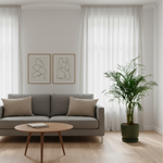 Areca Palm