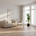 Areca palm 
