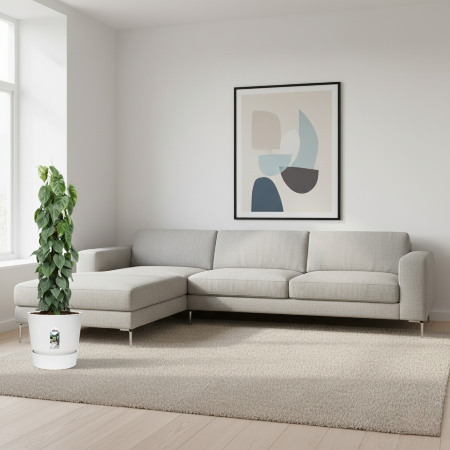 Philodendron Scandens mosstok 