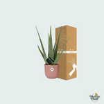 Combi deal - Aloe Vera inclusief ELHO Vibes Fold - 40/50cm 