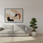 Ficus Ginseng