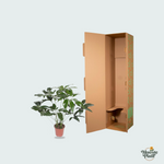 Philodendron kopen