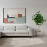 schefflera kopen
