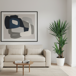 Yucca Elephantipes 